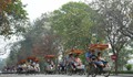 Nhiệt độ miền Bắc giảm nhẹ do có không khí lạnh