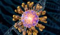 Virus ảnh hưởng đến 60% dân số thế giới chứa manh mối về nguy cơ mắc Alzheimer