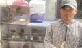 Khởi tố người mua bán, trao đổi 36 cá thể chim hoang dã