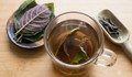 Cách dùng lá mơ lông cho người bị trào ngược dạ dày