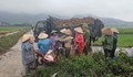 Không khí lạnh có cường độ ổn định, Trung Bộ mưa rất lớn