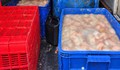 Ô tô chở 820kg lòng lợn bốc mùi hôi thối ở Phú Thọ