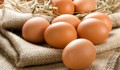 Dược thiện tốt nhất từ trứng gà cho người tăng huyết áp