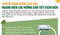 [Infographic] TPHCM nắng nóng gay gắt, ngành điện lực hướng dẫn tiết kiệm điện
