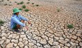 Bộ Nông nghiệp và Môi trường cảnh báo sớm về El Nino năm 2026