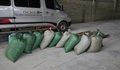 Buôn bán gần 900kg vảy tê tê cực kỳ quý hiếm, lĩnh án 8 năm tù
