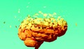 Hy vọng mới trong cuộc chiến chống Alzheimer từ loại dược phẩm quen thuộc