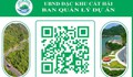 Cát Bà số hóa du lịch thông qua QR hỗ trợ tìm đường, bãi đỗ, gửi xe