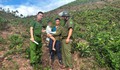Từ dấu vết nghi vấn, tìm thấy bé gái 10 tuổi bị lạc trong rừng