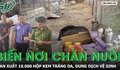 Biến trang trại chăn nuôi thành nơi sản xuất 10.000 hộp mỹ phẩm, dung dịch vệ sinh
