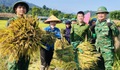 Công an, bộ đội dầm mưa giúp dân cứu lúa sau dông lốc ở Nghệ An
