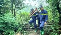 Hơn 300 người tìm kiếm nạn nhân mất tích khi đi hái dược liệu trong rừng ở Tuyên Quang