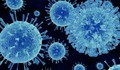 Hơn 1.700 người bị cách ly trên du thuyền sau khi 1 trường hợp tử vong do nghi nhiễm norovirus