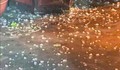Hà Nội: Mưa đá bất ngờ tối 2/5, cảnh báo dông lốc diện rộng