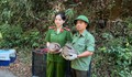 Thả 5 cá thể động vật nguy cấp, quý hiếm vào rừng ở Đắk Lắk