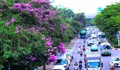 Nắng nóng gia tăng mạnh, miền Bắc và Trung Bộ có nơi vượt 38 độ C
