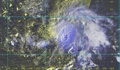 Bão Hagupit có vào Biển Đông những ngày tới?