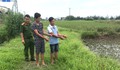 Hai gã đàn ông bắt trộm nghé mang ra đồng giết lấy thịt mang về cất vào tủ