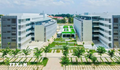 Thành lập phân hiệu, sáp nhập một số trường cao đẳng vào đại học