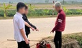 26 thanh niên sắp hỗn chiến, 12 người bị khởi tố