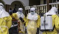 Dịch Ebola: Liên minh chống dịch bệnh tài trợ 60 triệu USD phát triển vaccine