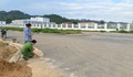 Bị đàn dê ăn mất lá chuối, người đàn ông bắt trộm dê về làm thịt