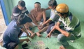 Bắt Dương Công Nhạc cướp tài sản của cụ ông bán vé số