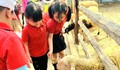 Nghỉ hè, phụ huynh Hà Nội tốn tiền triệu để 'giữ chân' con