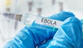 Cuộc đua điều chế vaccine Ebola xuất hiện những ứng viên 'nặng ký'