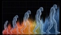 Tổ tiên loài người từng bất ngờ 'vươn vai Thánh Gióng' cách đây hàng triệu năm?