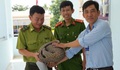 Phát hiện nhiều loài động vật quý hiếm, người dân liền mang về giao nộp cho chính quyền
