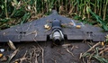 UAV phản lực Nga tăng tốc khiến Ukraine chỉ còn biết bám đuổi