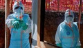 WHO thông báo số ca nghi nhiễm Ebola tại CHDC Congo giảm mạnh