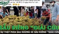 Sự thật đáng buồn phía sau những tấm bảng 'giải cứu' sầu riêng giá 25.000 đồng/kg