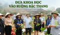 Đưa khoa học vào ruộng bậc thang, hành trình trồng sen trên núi của những ‘nhà khoa học nông dân’