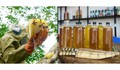 Mẹo phân biệt mật ong thật và giả đơn giản ngay tại nhà
