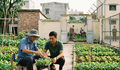Người cải tạo không giam giữ vi phạm quy định có thể bị chuyển sang phạt tù