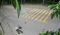 Hai xe máy va chạm trong đêm, 4 người thương vong