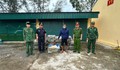 Phát hiện, tạm giữ 800kg nầm lợn đông lạnh không rõ nguồn gốc