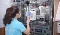 Từ những cuộc giải cứu mèo con bị bỏ rơi đến bài học về trách nhiệm với thú cưng