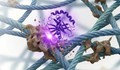 Enzym nhân tạo 'xóa' dấu vết lão hóa tới 70% trên mô người