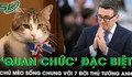 ‘Quan chức’ đặc biệt nhất nước Anh: Chú mèo 19 tuổi vẫn ở lại sau khi Thủ tướng thứ 7 lên nắm quyền