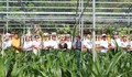 Thêm 8.000 cây dừa cho chương trình 'Xanh hóa Trường Sa'