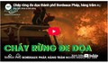 Cháy rừng đe dọa thành phố Bordeaux Pháp, hàng trăm nghìn người sơ tán khẩn cấp