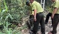 Nhiều loài động vật hoang dã quý, hiếm ở Khánh Hòa được thả về rừng tự nhiên