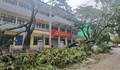 Quảng Ninh khắc phục hậu quả sau bão số 1