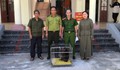Người dân Hải Phòng giao nộp nhiều động vật quý hiếm