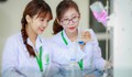 6 trường đại học Y Dược công lập vào Top 100 bảng xếp hạng Webometrics