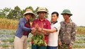 Nghệ An: Tháo gỡ khó khăn, phát triển ngành dược liệu theo hướng bền vững