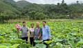 Sắp có hội thảo quốc gia về hoa sen gắn với phát triển làng nghề